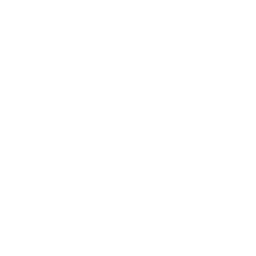 Black Widow Butterfly